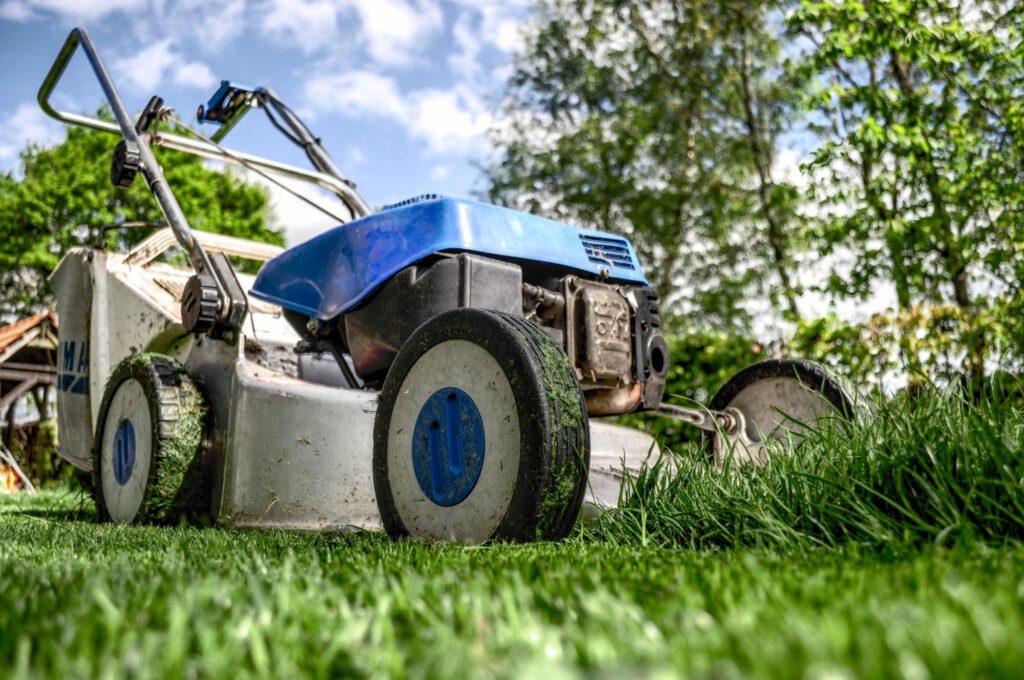 Early Spring Lawn Care Tips For Your Maryland Home