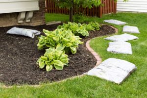 the benefits of mulching your garden 