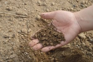 test your soil in the fall
