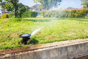 lawn care problems lawn care problems