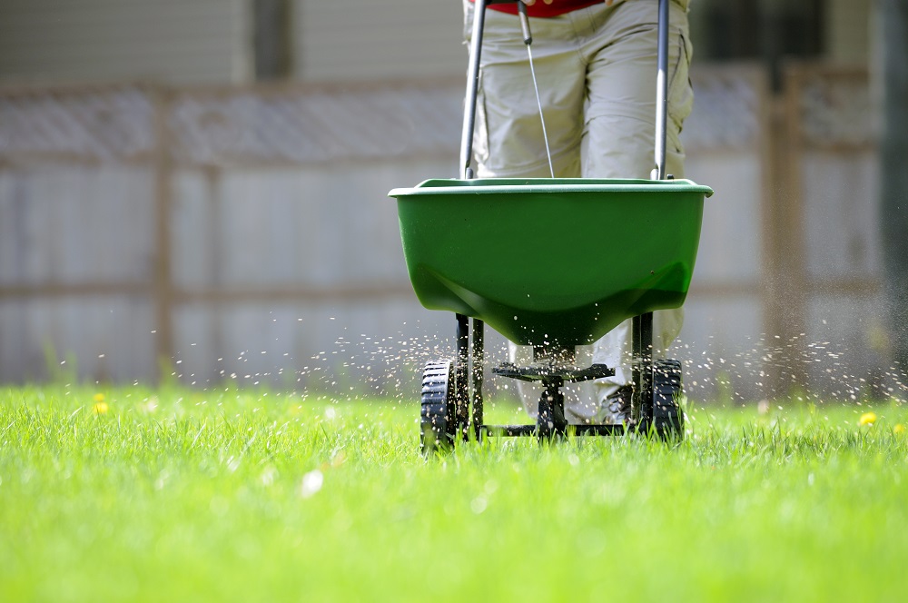 how-to-turn-yellow-grass-green-again-scientific-plant-service