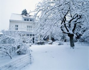 Scientific Plant Service benefits of snow on your landscape