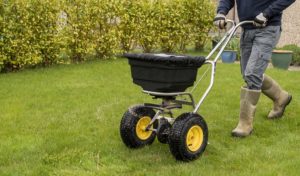 scientific plant service prep your lawn for spring