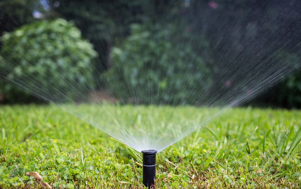 How to Water Your New Sod Do’s and Don’ts Scientific Plant Service