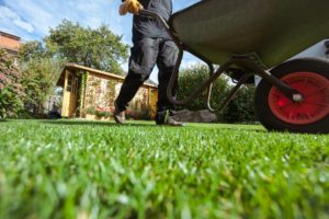 scientific plant service lawn care service in isaacsville