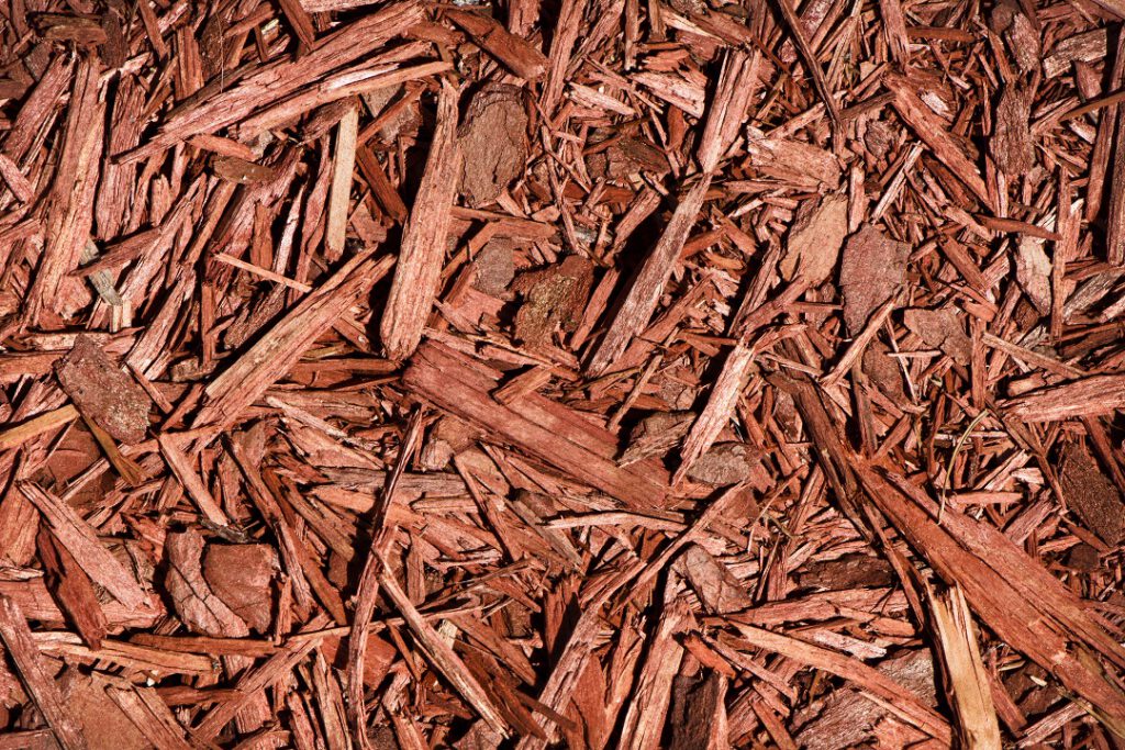 Should You Mulch in the Fall? Scientific Plant Service