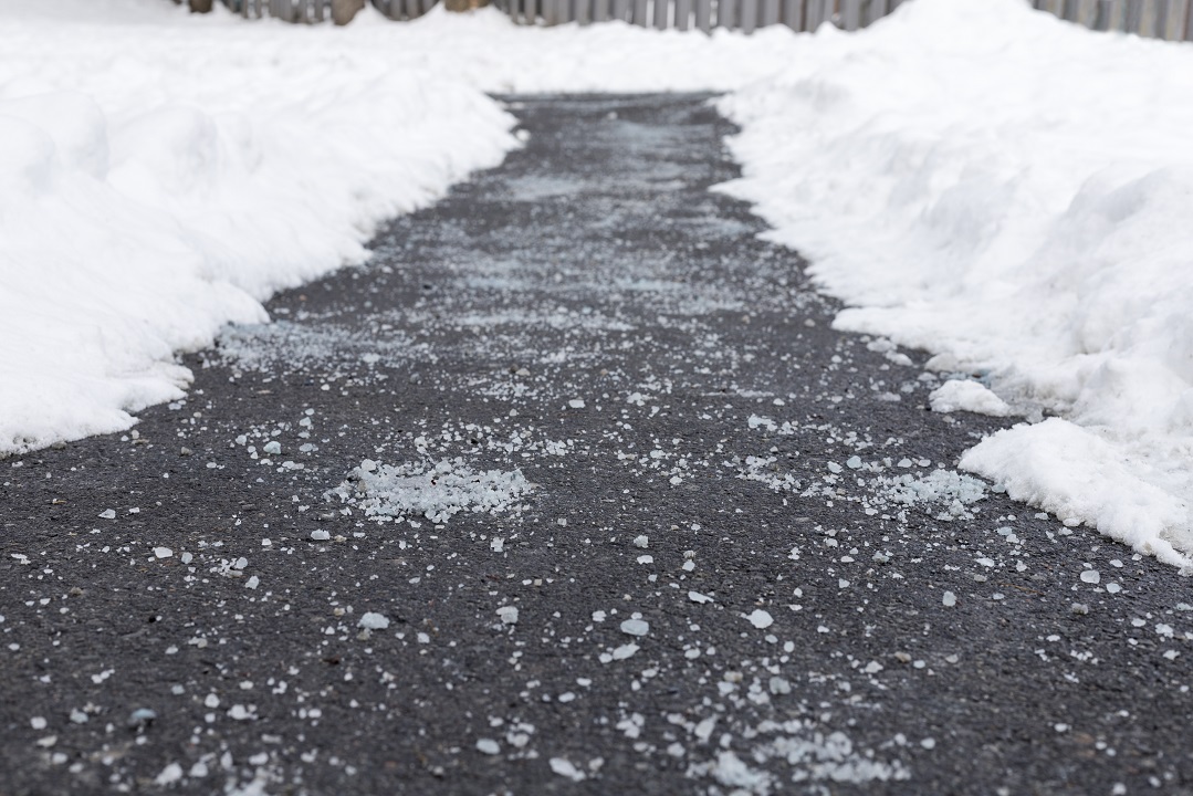 How to Prevent Landscape Damage from Winter Salt Scientific Plant Service