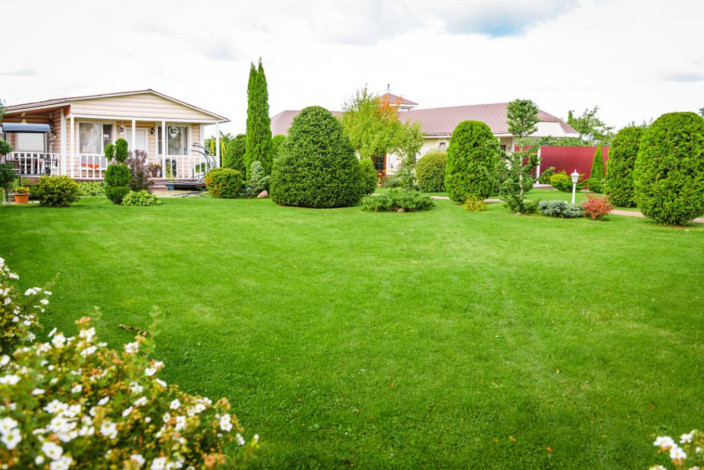 Your Best Lawn Care Service in Hillsmere Shores Scientific Plant Service