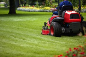 scientific plant service lawn care service in west river