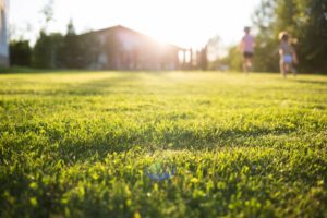 scientific plant service lawn care service in cape saint claire