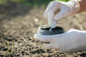 scientific plant service soil pH and nutrient deficiencies