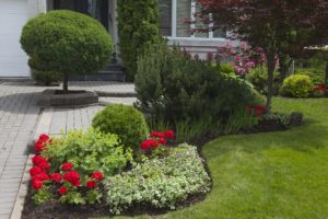 scientific plant service lawn care service in Sherwood Forest