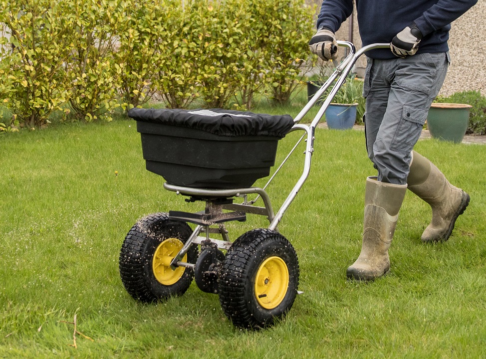 Seeding Your Lawn in October Scientific Plant Service
