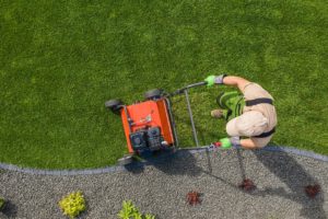 scientific plant service lawn care equipment spring and summer